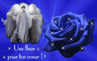 POUR VOUS